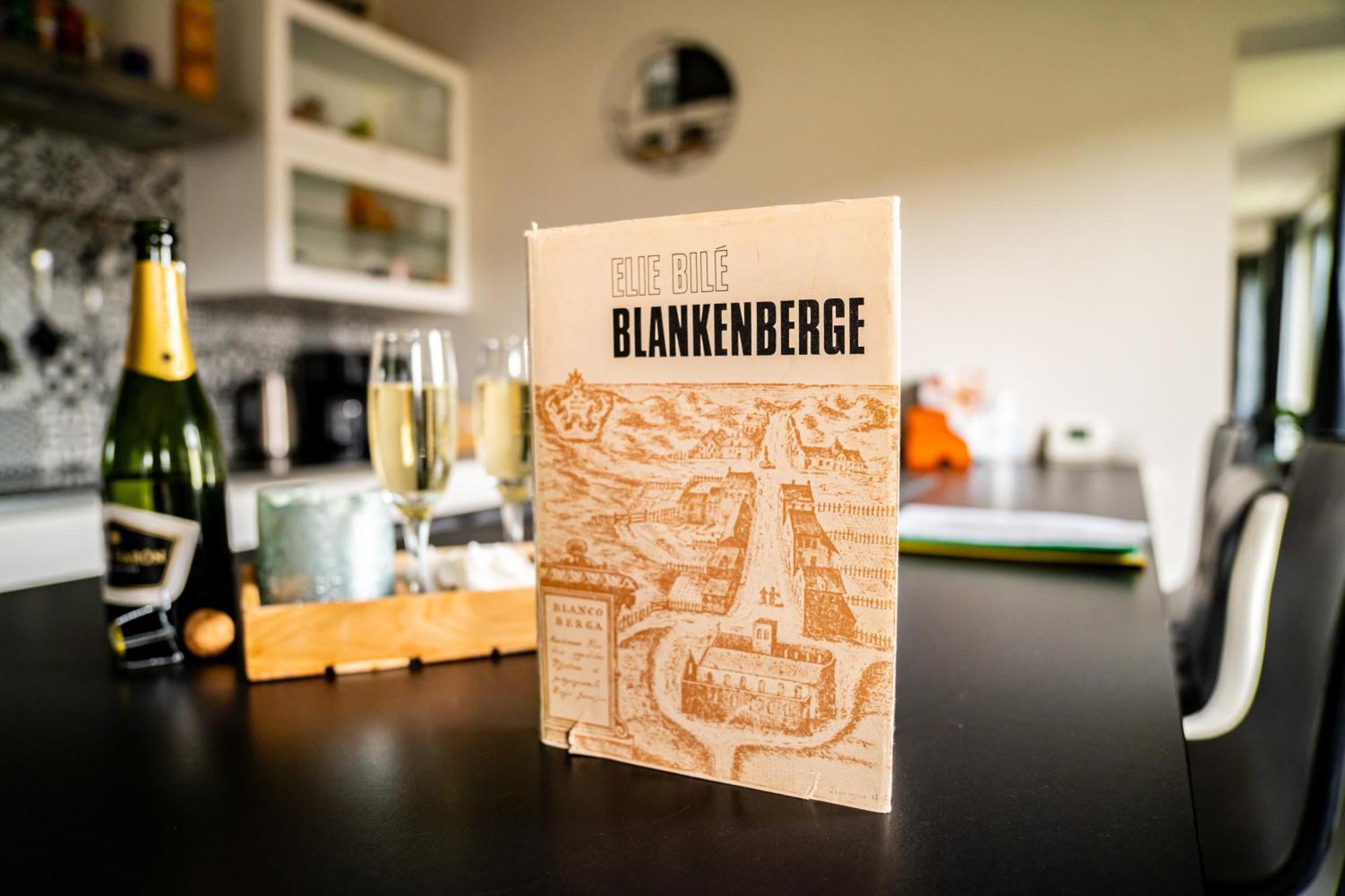 Oase 'T Huyseke Blankenberge Exterior foto